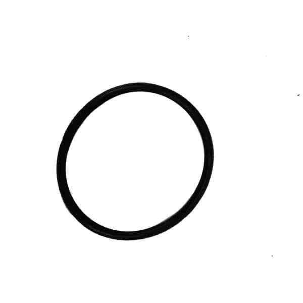 O-Ring Fuel Pump – Honda Scoopy eSP K2F