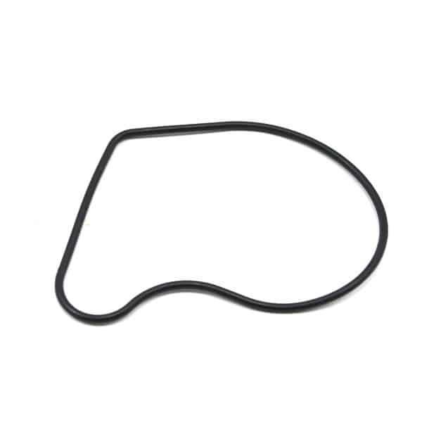 Gasket Water Pump Cover – Vario Karbu