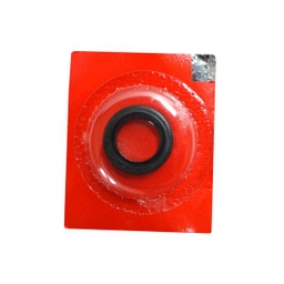 [91201K59A11] Seal Magnet 20.8x32x6 Honda PCX 150 K97